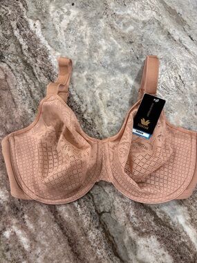 Wacoal Blush Beige Underwire Bra with Perforated Detail